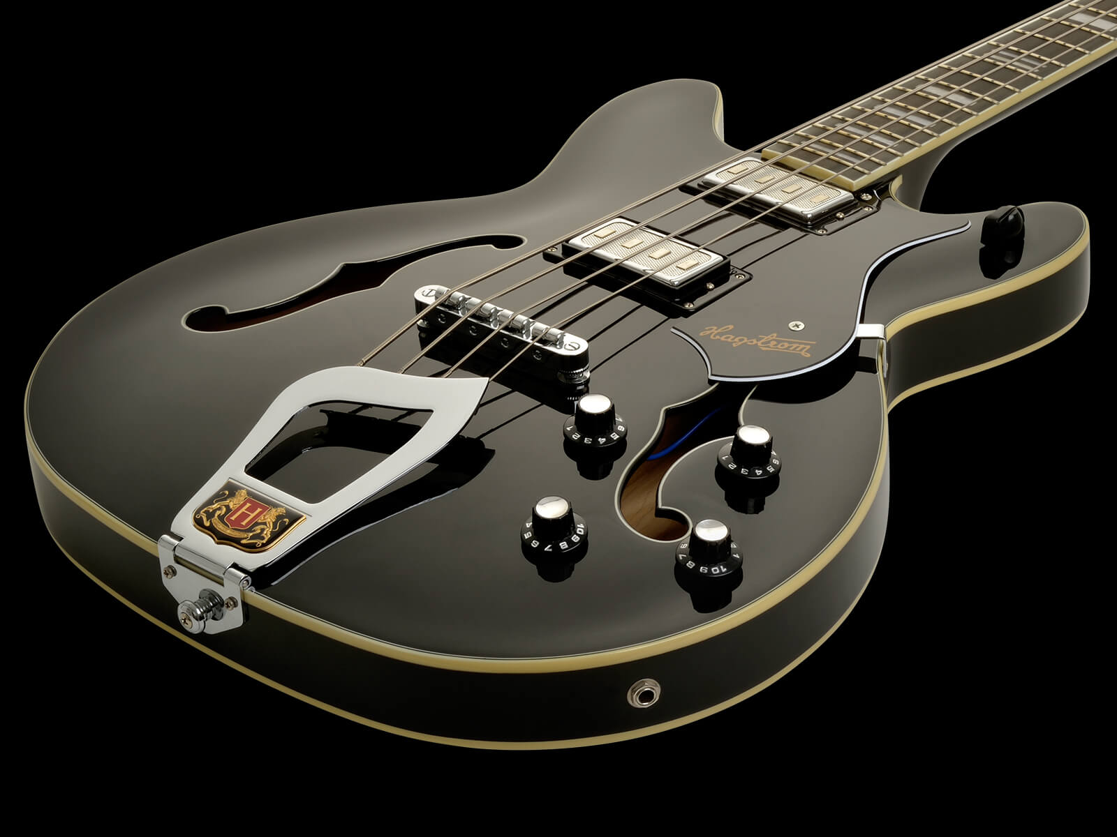 Hagstrom shop viking case
