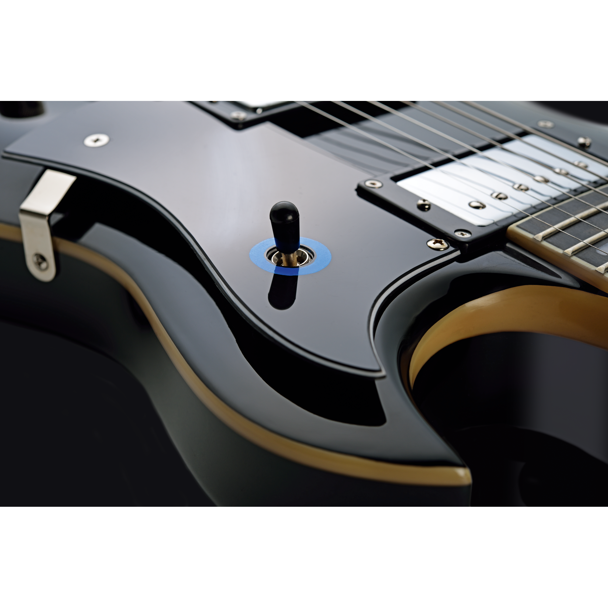Hagstrom Pat Smear Signature